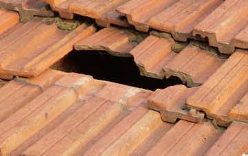 roof repair Llanvaches, Newport